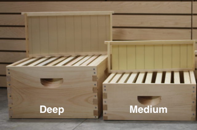 Deep and medium hive boxes