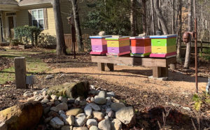 Andy Olsen apiary